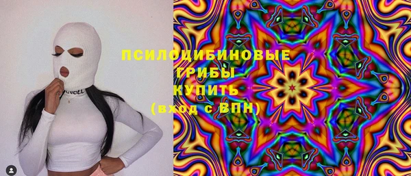 мескалин Медвежьегорск