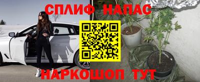 винт Камышлов