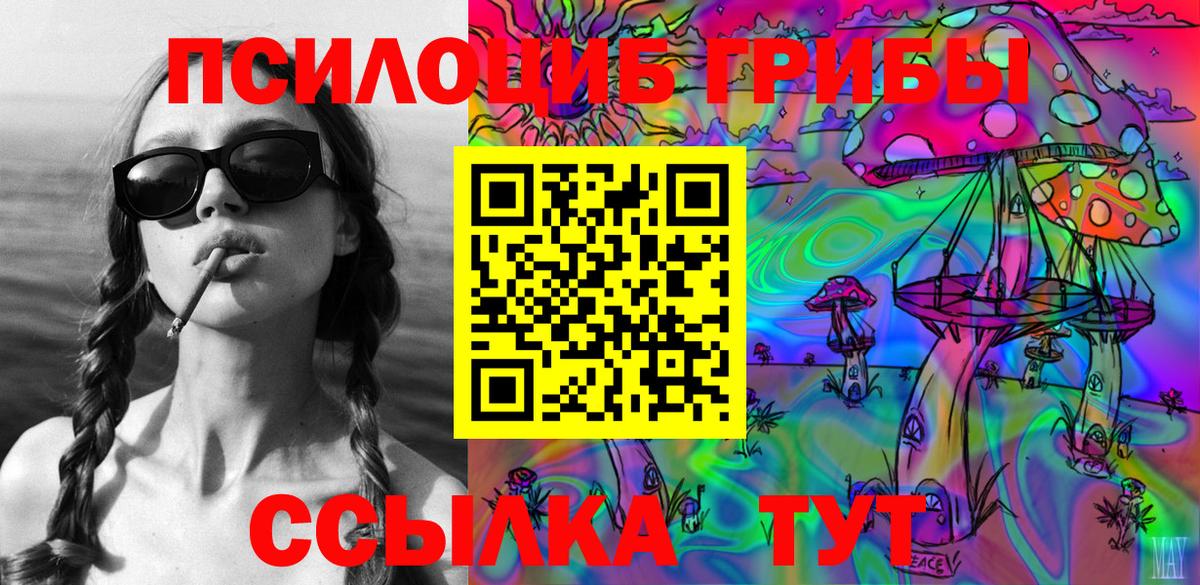 Псилоцибиновые грибы Cubensis Тулун